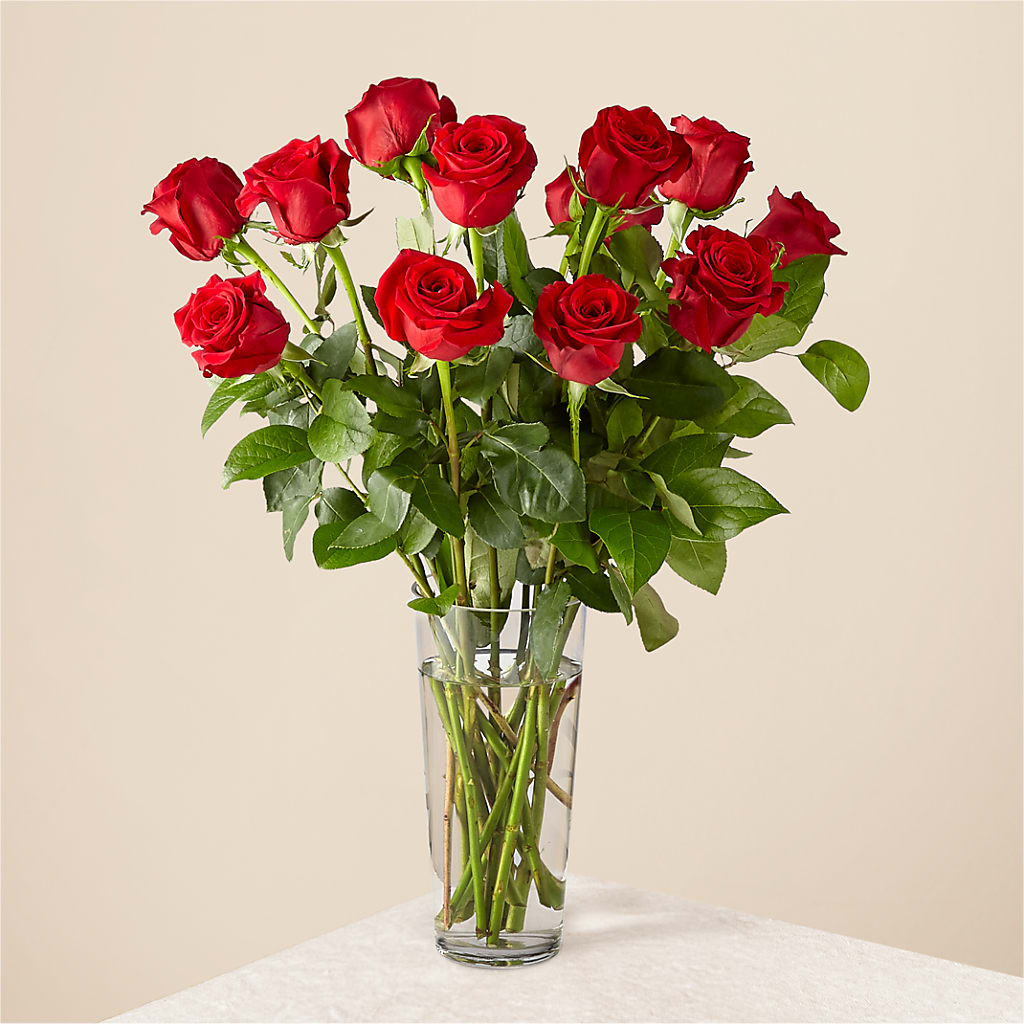 Long Stem Red Rose Bouquet – Mountain Florist, Clintwood VA