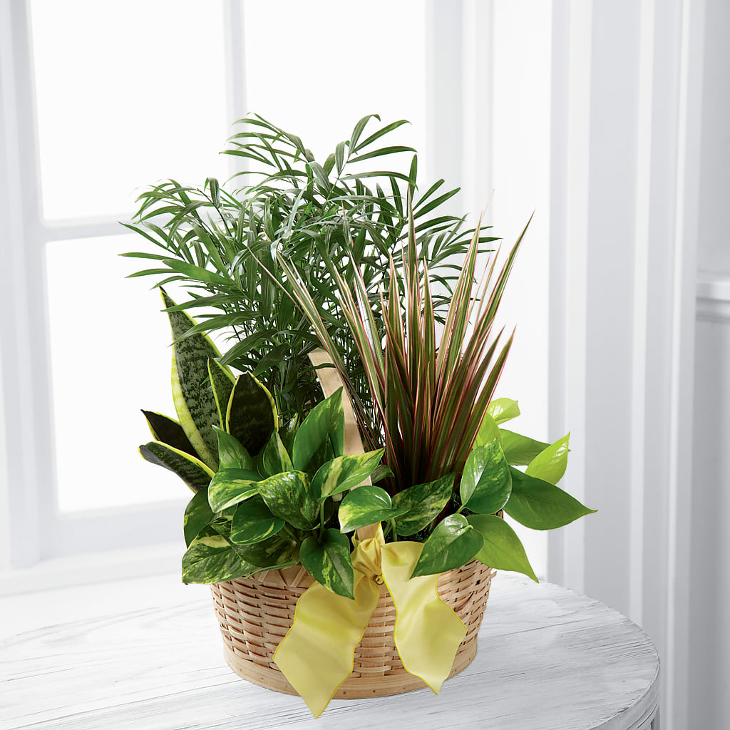 French Garden – Mountain Florist, Clintwood VA