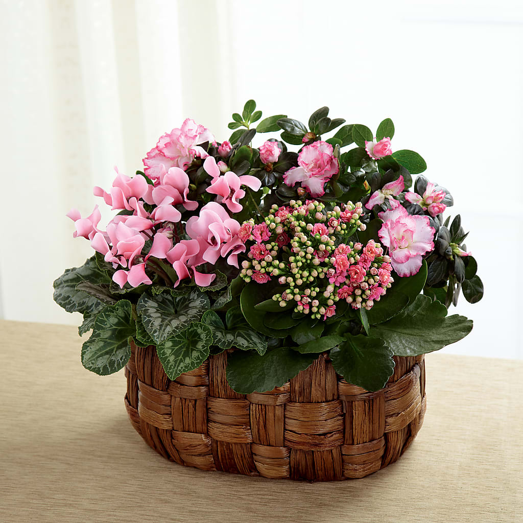 Pink Assortment – Mountain Florist, Clintwood VA