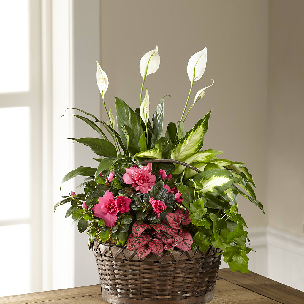 Dream in Pink Dishgarden – Mountain Florist, Clintwood VA