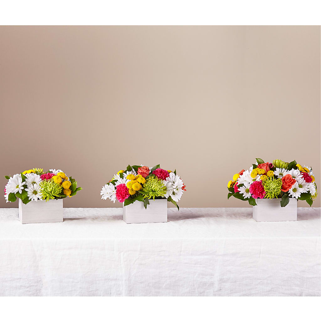 Sorbet Bouquet – Mountain Florist, Clintwood VA