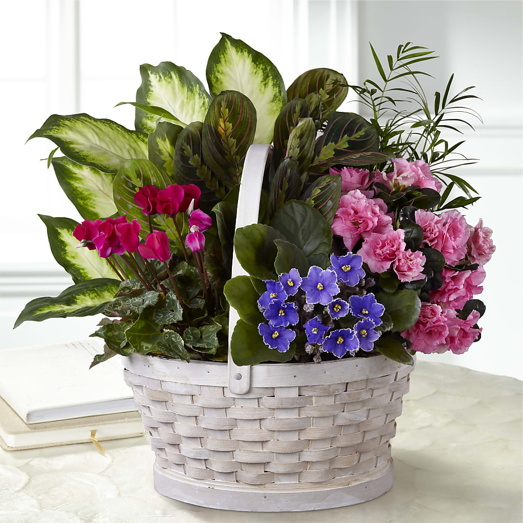 Peaceful Garden Planter – Mountain Florist, Clintwood VA