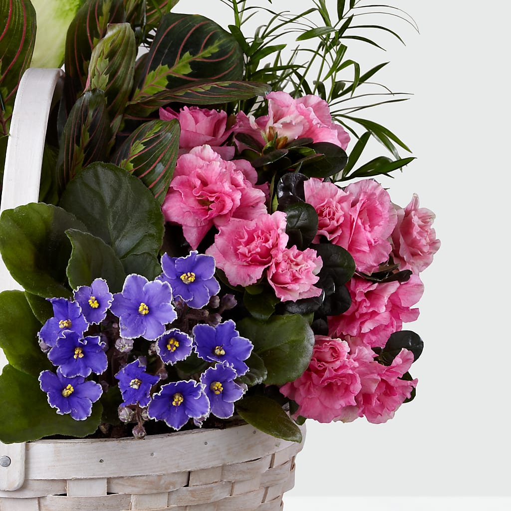 Peaceful Garden Planter – Mountain Florist, Clintwood VA