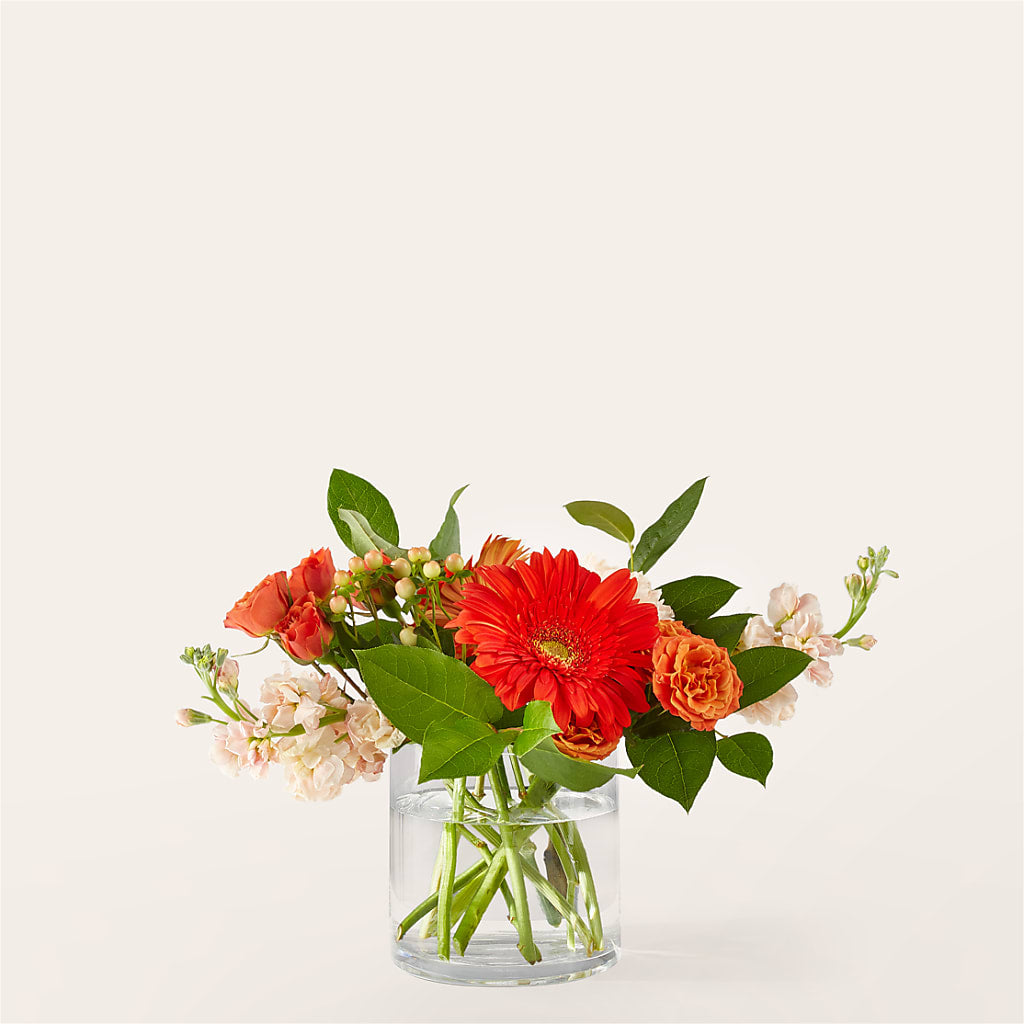 Paloma Please Bouquet – Mountain Florist, Clintwood VA