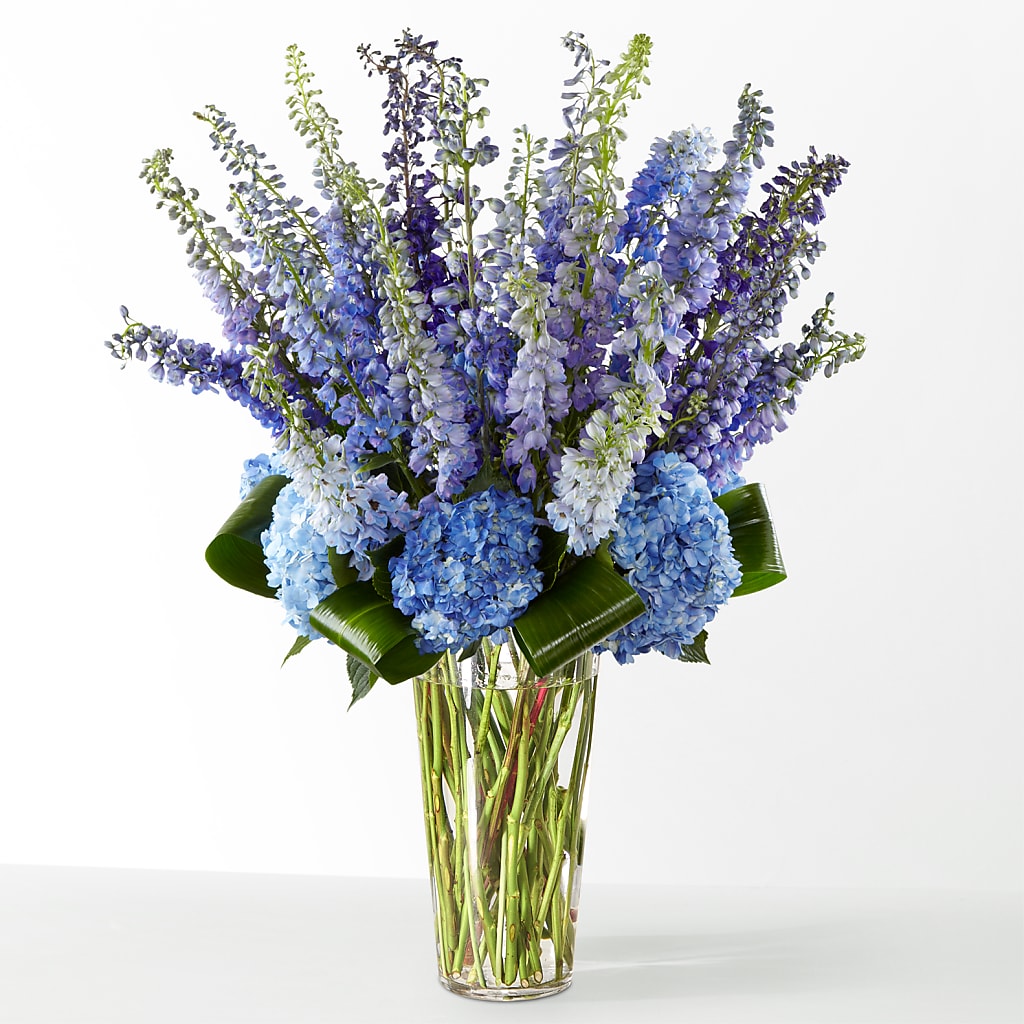 The Editorial – Mountain Florist, Clintwood VA