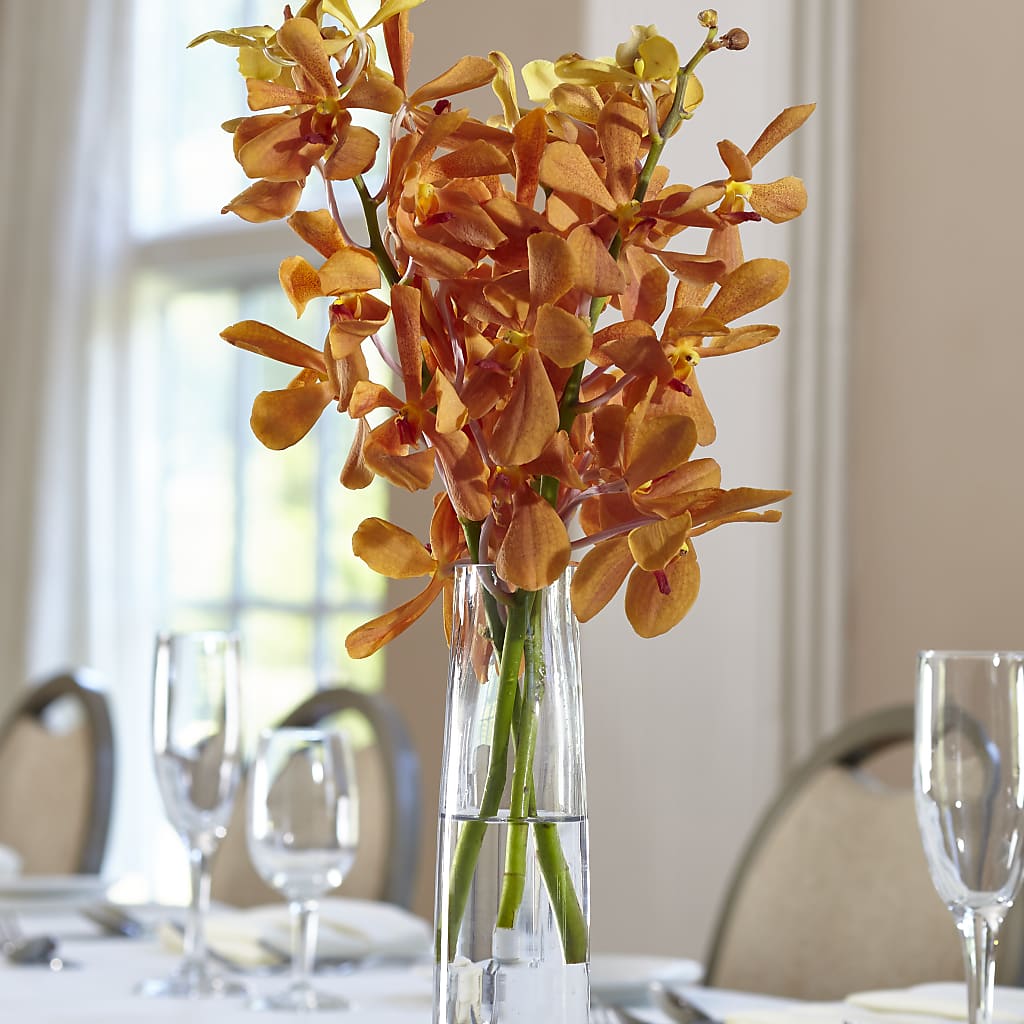 Orange Mokara Bud Vase – Mountain Florist, Clintwood VA