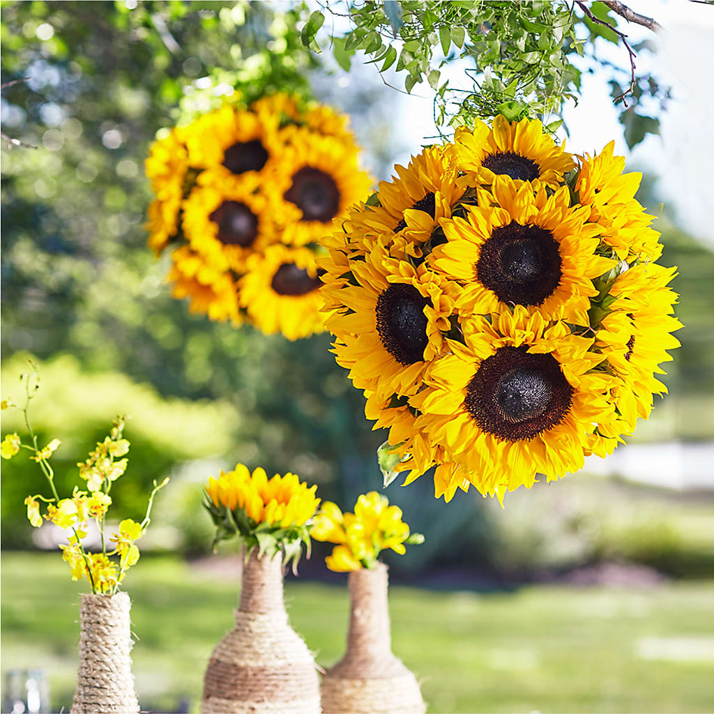 Sublime Garden Hanging Arrangement – Mountain Florist, Clintwood VA