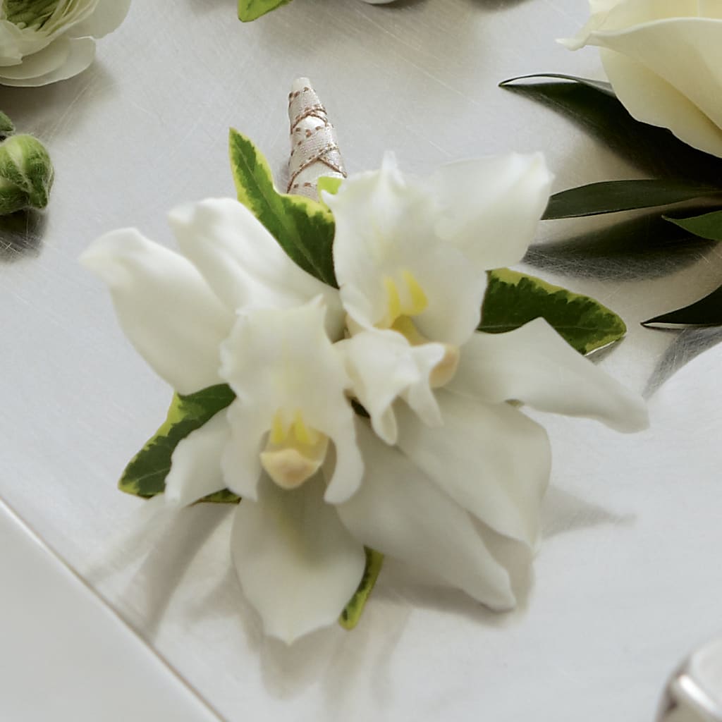 White Mini Cymbidium Boutonniere – Mountain Florist, Clintwood VA