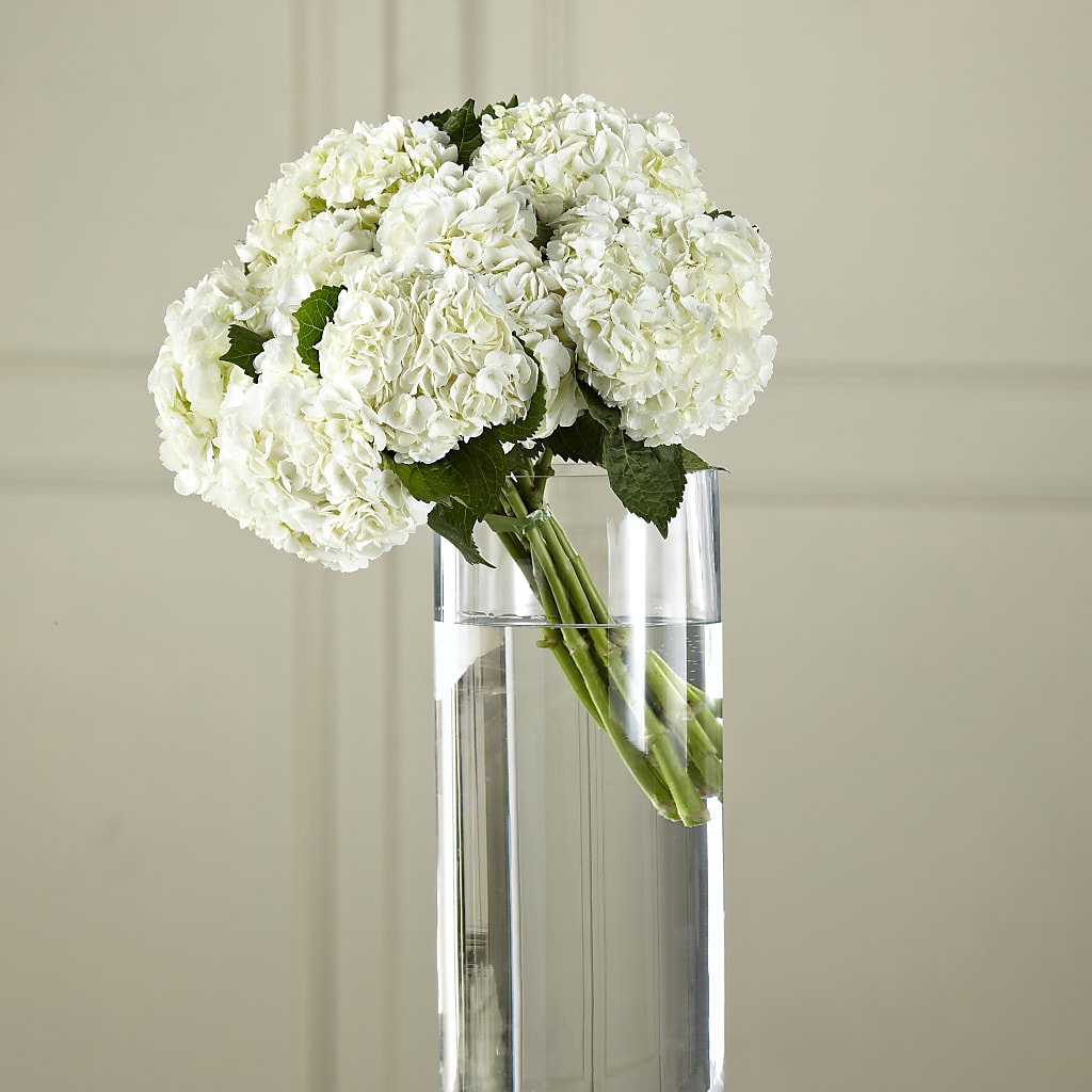 White Hydrangea Hand-Tied Bouquet – Mountain Florist, Clintwood VA