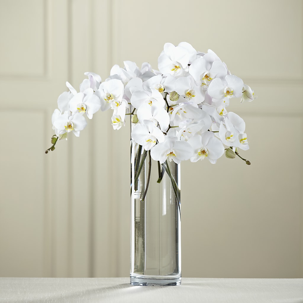 White Phalaenopsis Bouquet – Mountain Florist, Clintwood VA