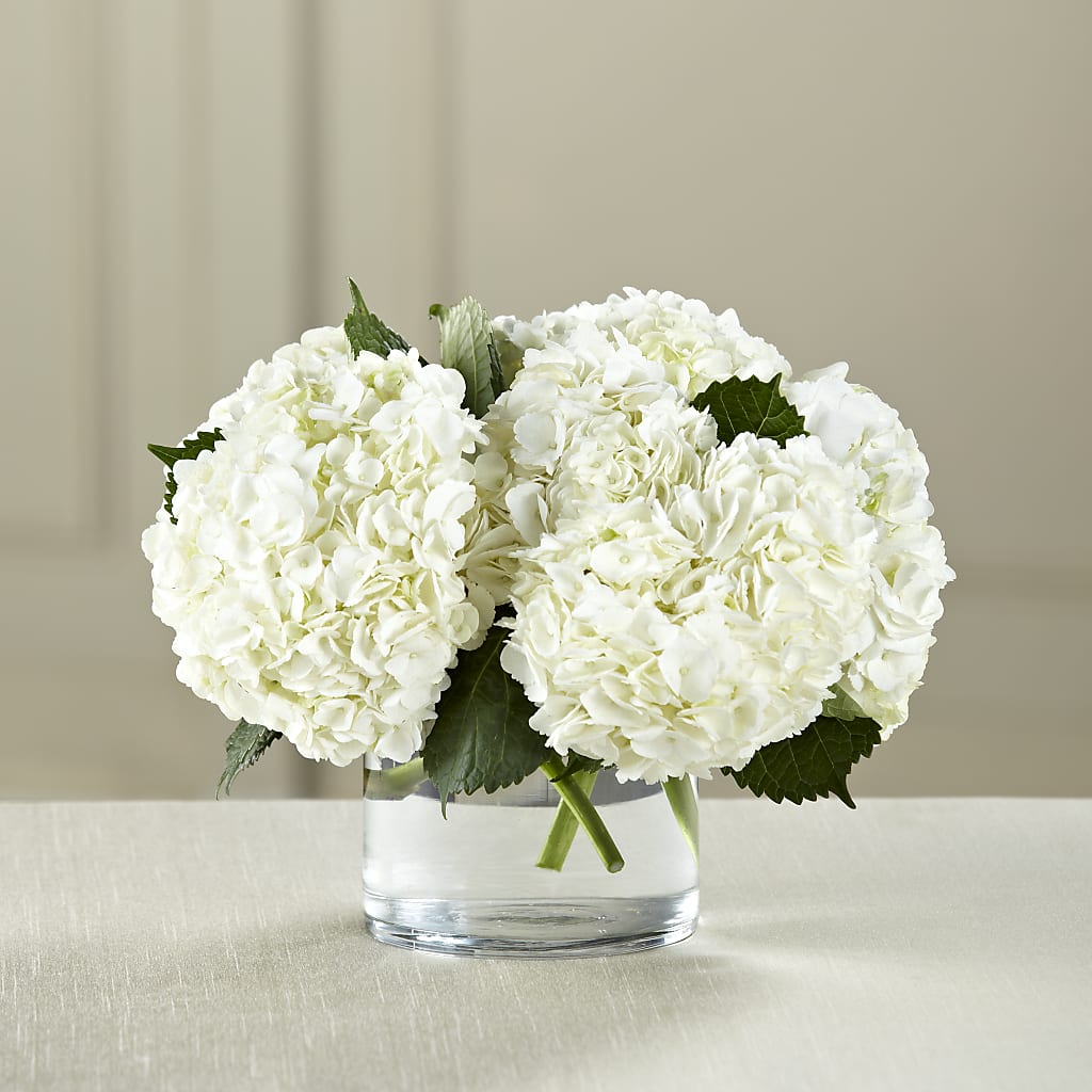 White Hydrangea Bouquet – Mountain Florist, Clintwood VA