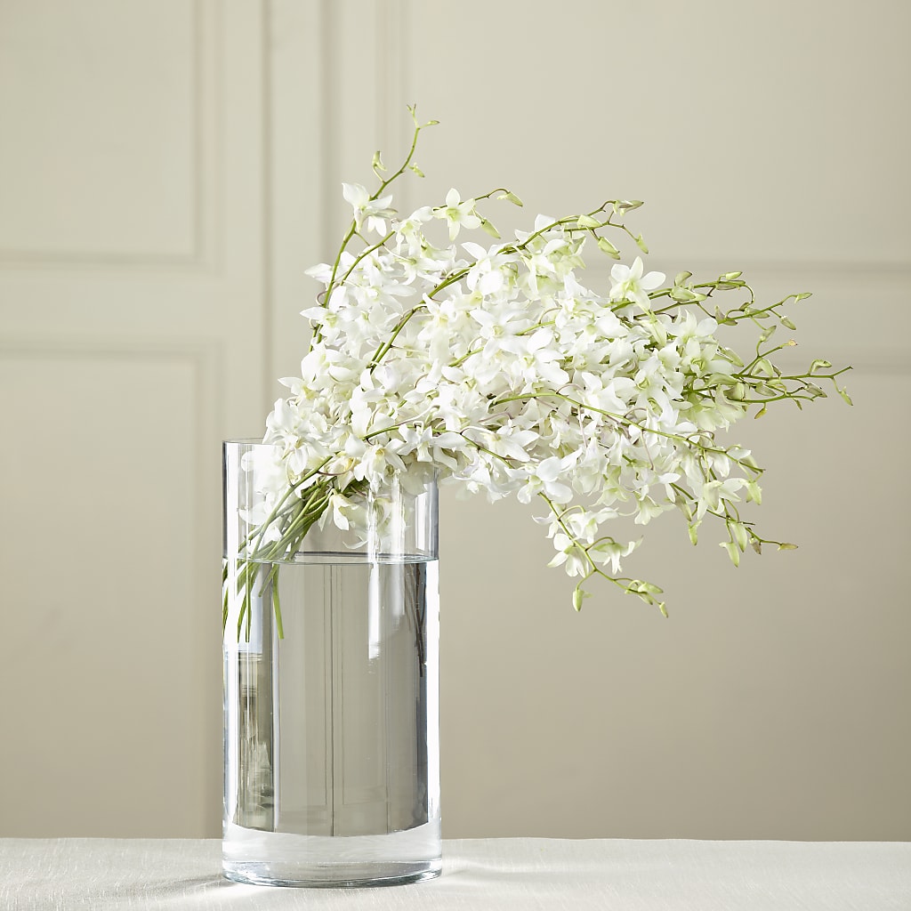White Dendrobium Bouquet – Mountain Florist, Clintwood VA