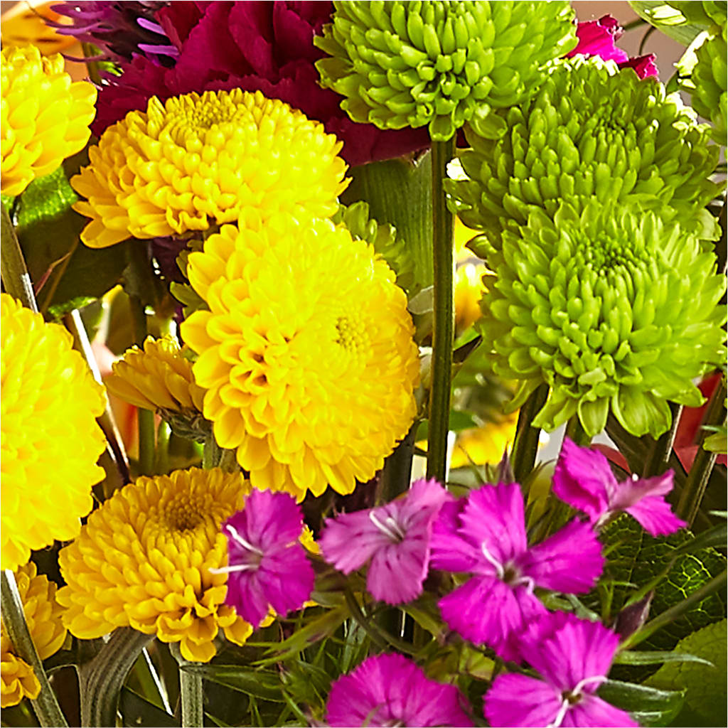 Bold & Bright – A Florist Original –  Mountain Florist, Clintwood VA