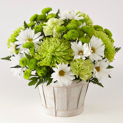 Lucky Charm Basket (Standard) –  Mountain Florist, Clintwood VA