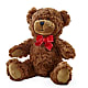 Adorable Plush Bear –  Mountain Florist, Clintwood VA