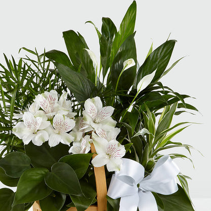 Peace & Serenity Dishgarden –  Mountain Florist, Clintwood VA
