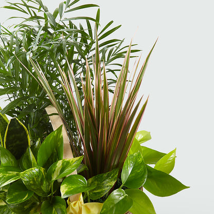 French Garden –  Mountain Florist, Clintwood VA