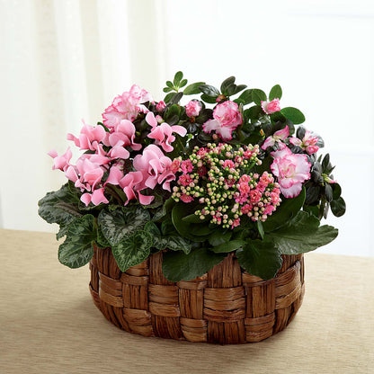 Pink Assortment –  Mountain Florist, Clintwood VA