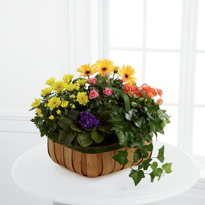 Gentle Blossoms Basket –  Mountain Florist, Clintwood VA