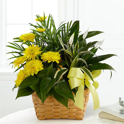 Loving Light Dishgarden –  Mountain Florist, Clintwood VA