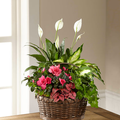 Dream in Pink Dishgarden –  Mountain Florist, Clintwood VA