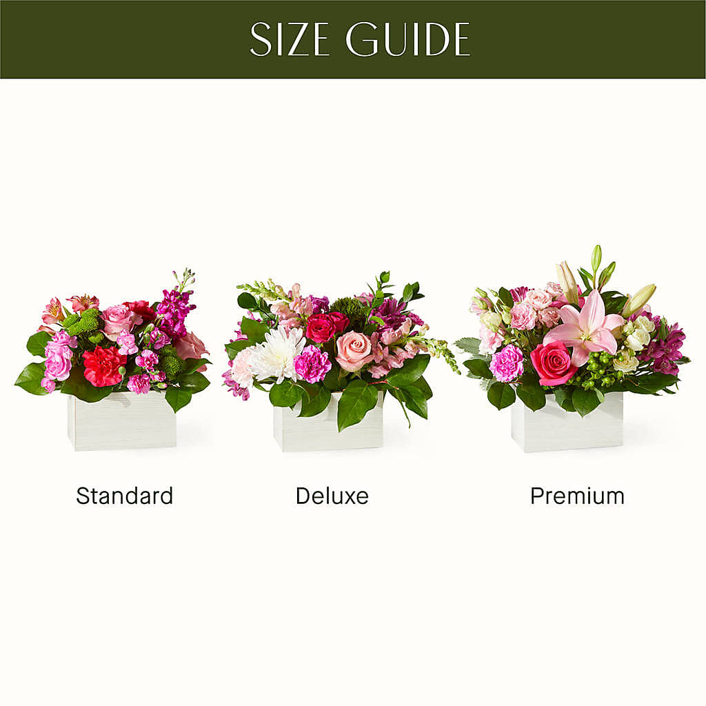 Sweetberry Box – A Florist Original –  Mountain Florist, Clintwood VA