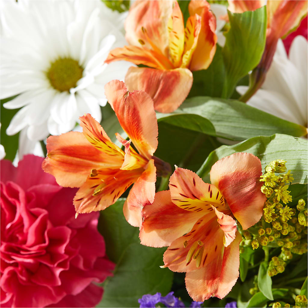 Oopsie Daisy Box Bouquet –  Mountain Florist, Clintwood VA