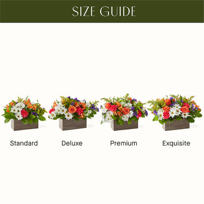 Oopsie Daisy Box Bouquet –  Mountain Florist, Clintwood VA