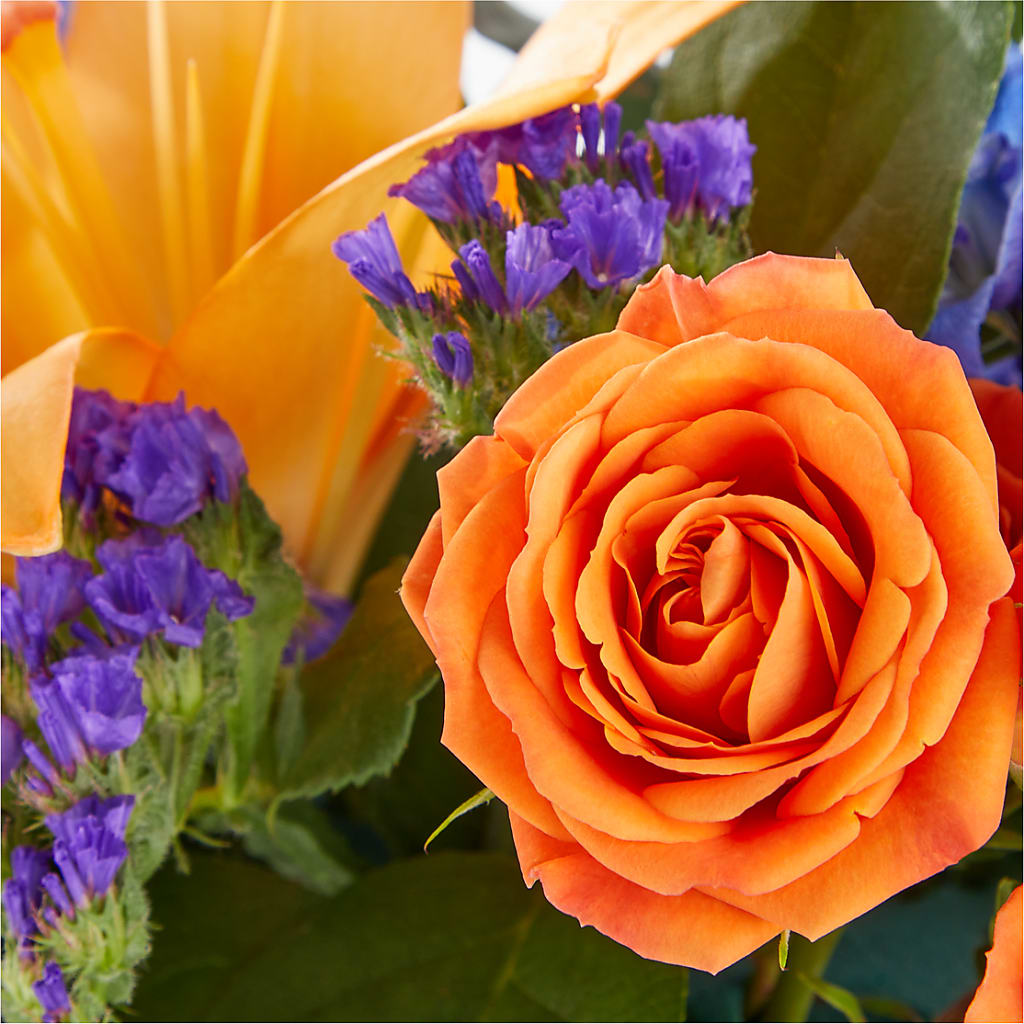 Radiant Citrus Box Bouquet –  Mountain Florist, Clintwood VA