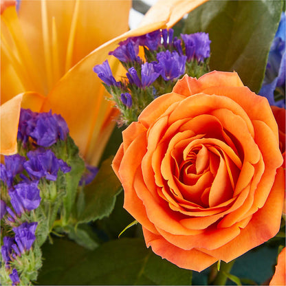 Radiant Citrus Box Bouquet –  Mountain Florist, Clintwood VA