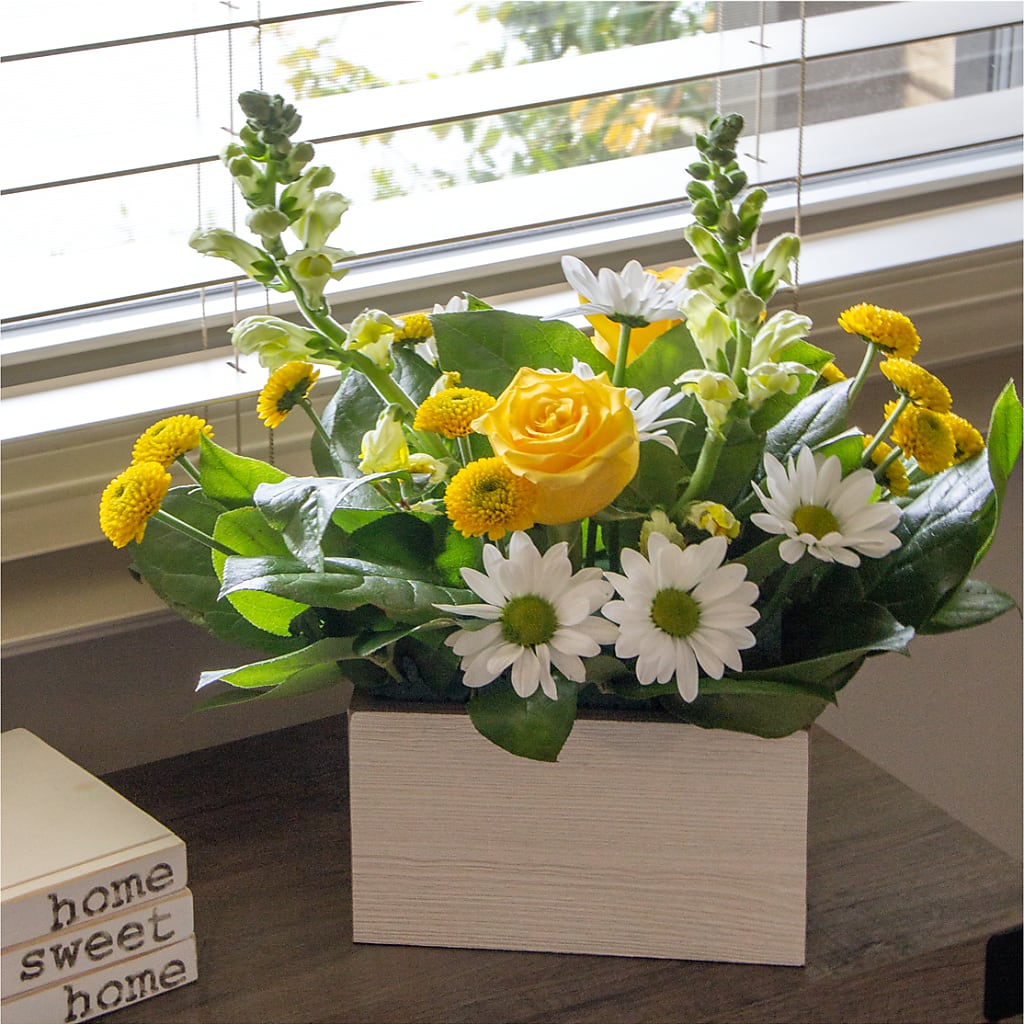 Sun Salutation Box Bouquet –  Mountain Florist, Clintwood VA
