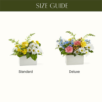 Sun Salutation Box Bouquet –  Mountain Florist, Clintwood VA