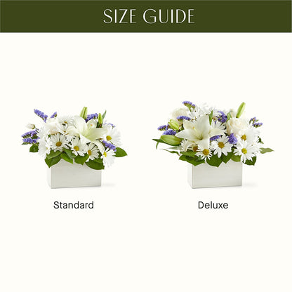 Beyond Blue Box Bouquet –  Mountain Florist, Clintwood VA