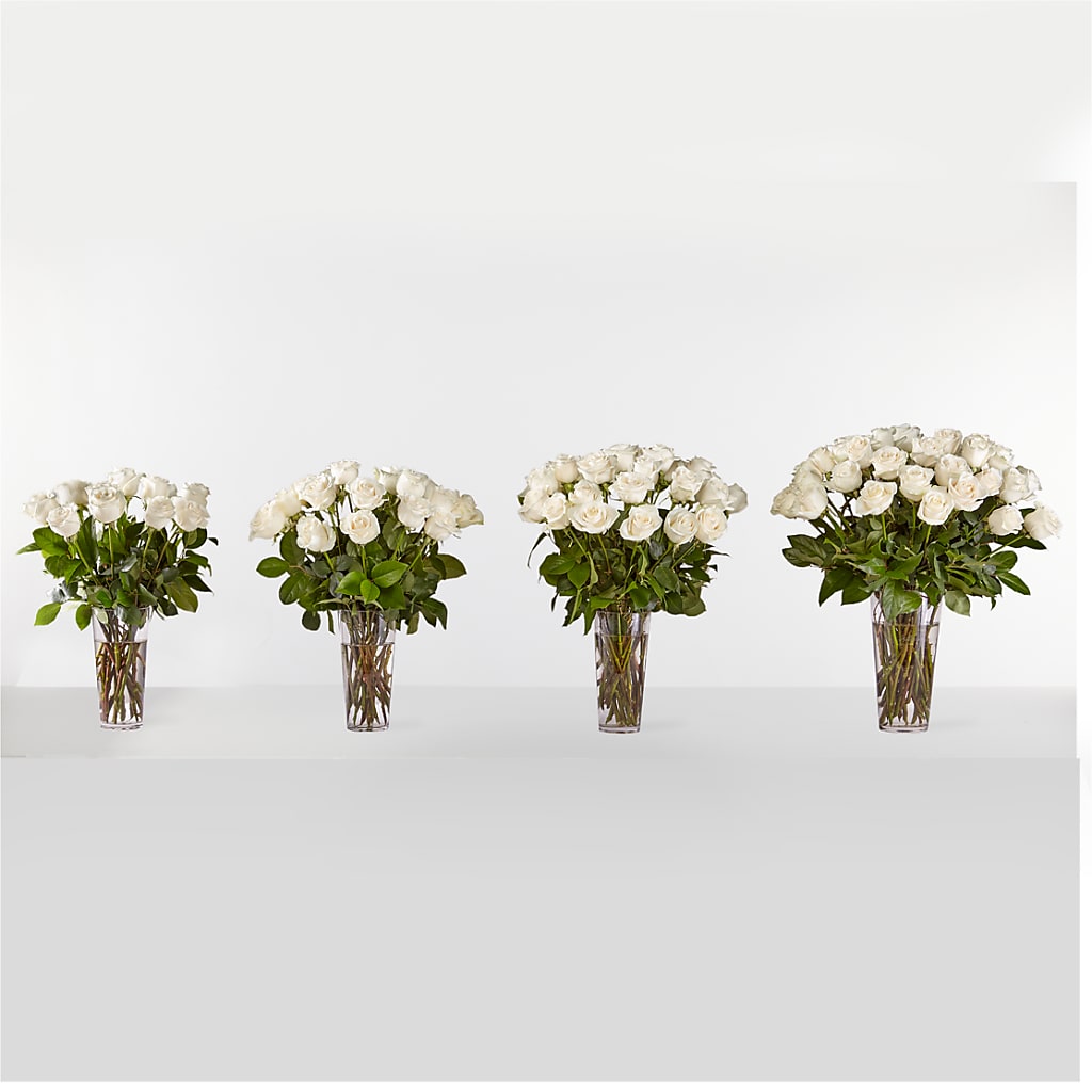 Long Stem White Rose Bouquet –  Mountain Florist, Clintwood VA