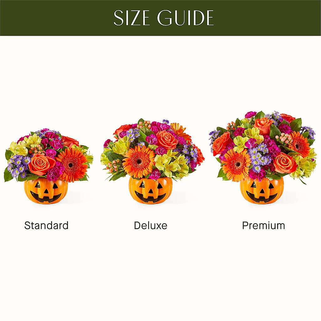 Tricks & Treats Pumpkin –  Mountain Florist, Clintwood VA