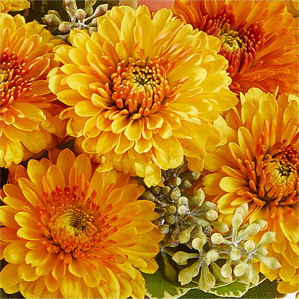 Peachy Pumpkin –  Mountain Florist, Clintwood VA