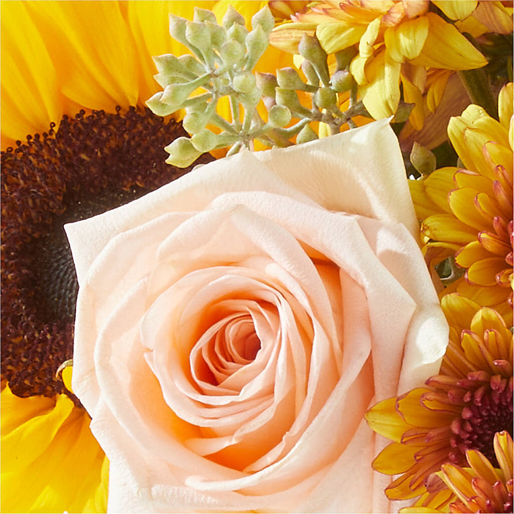 Pumpkin to Talk About Bouquet –  Mountain Florist, Clintwood VA