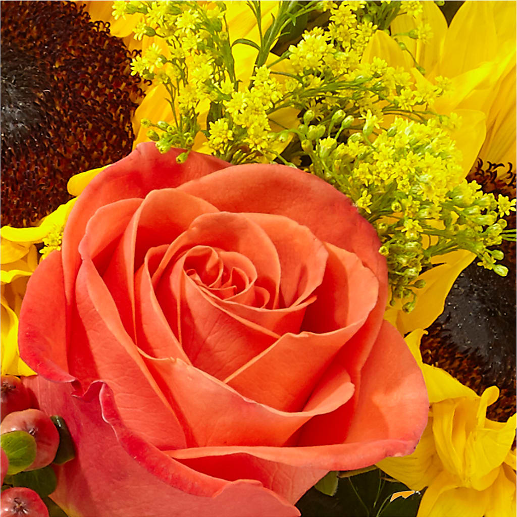 Pick of the Patch Pumpkin Bouquet –  Mountain Florist, Clintwood VA