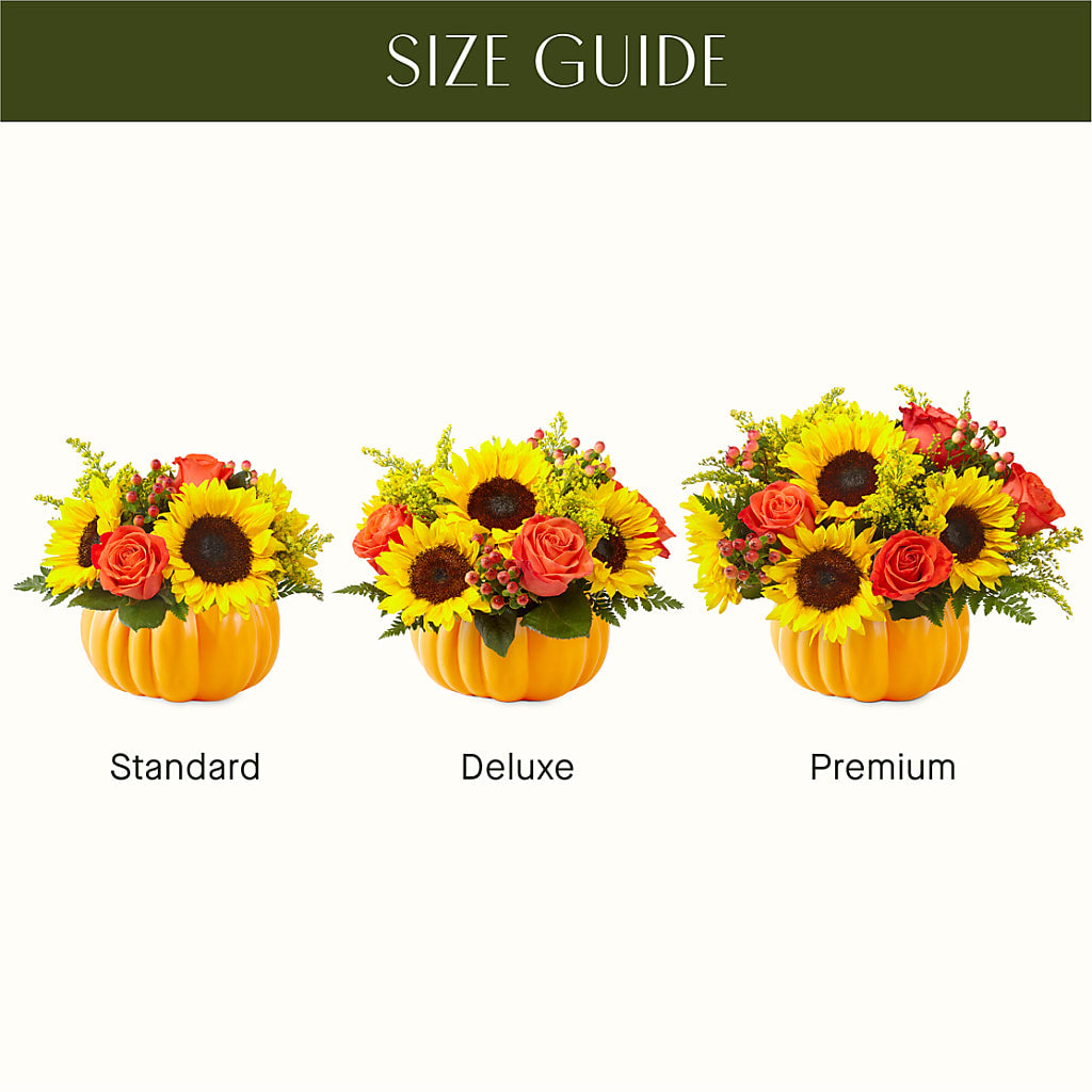 Pick of the Patch Pumpkin Bouquet –  Mountain Florist, Clintwood VA