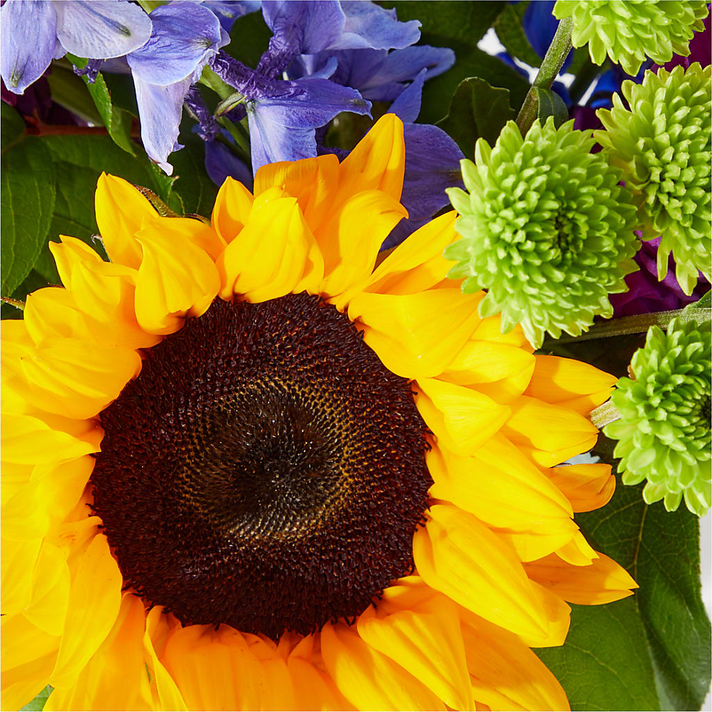 Catching Rays Bouquet –  Mountain Florist, Clintwood VA