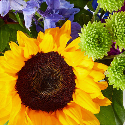 Catching Rays Bouquet –  Mountain Florist, Clintwood VA