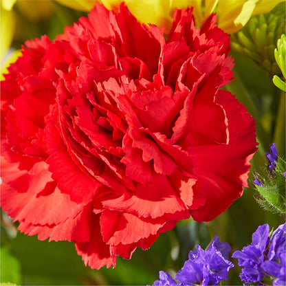 Brighter Days Bouquet –  Mountain Florist, Clintwood VA