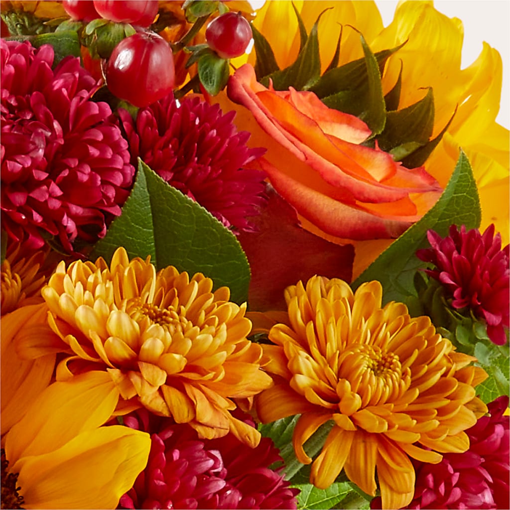 Sweater Season - A Florist Original –  Mountain Florist, Clintwood VA
