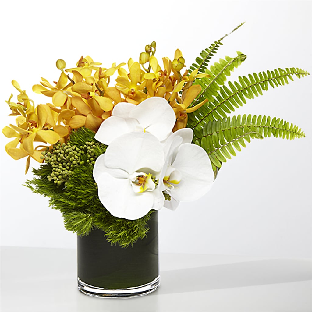 The Tropics –  Mountain Florist, Clintwood VA