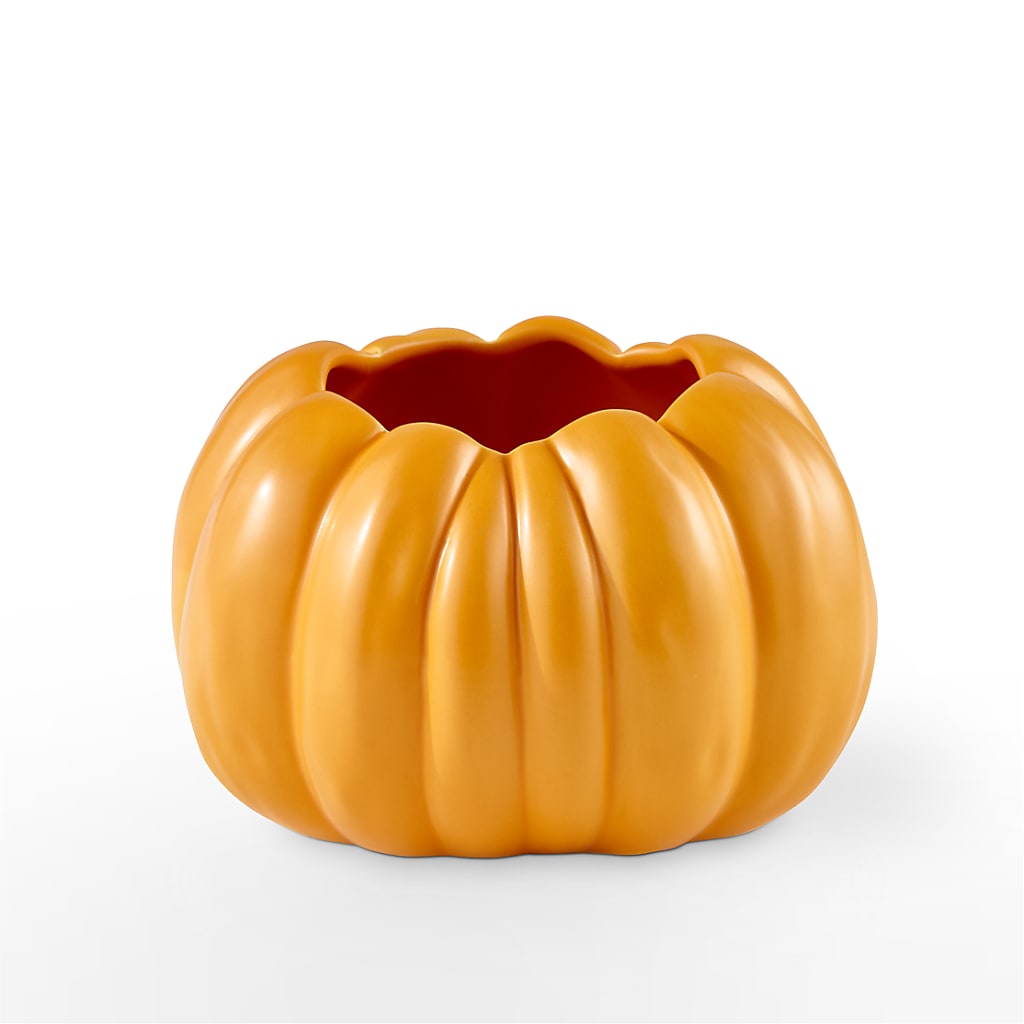 Pick of the Patch Pumpkin Bouquet –  Mountain Florist, Clintwood VA