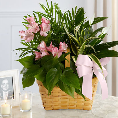 Living Spirit Dishgarden –  Mountain Florist, Clintwood VA
