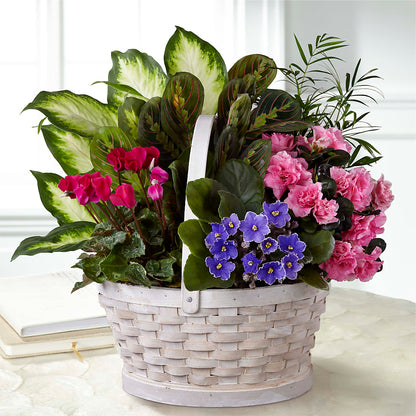 Peaceful Garden Planter –  Mountain Florist, Clintwood VA