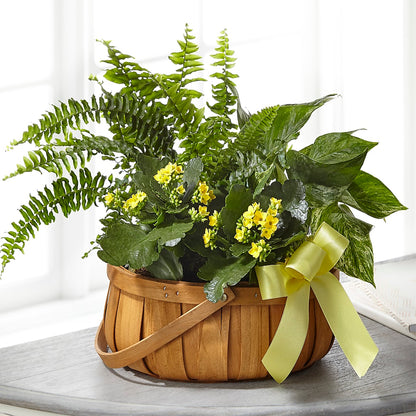 Always Dear Dishgarden –  Mountain Florist, Clintwood VA