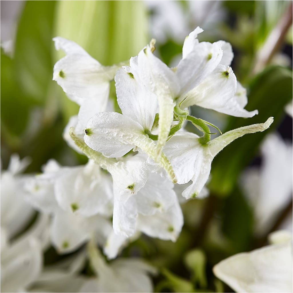 Classic Ivory – A Florist Original –  Mountain Florist, Clintwood VA
