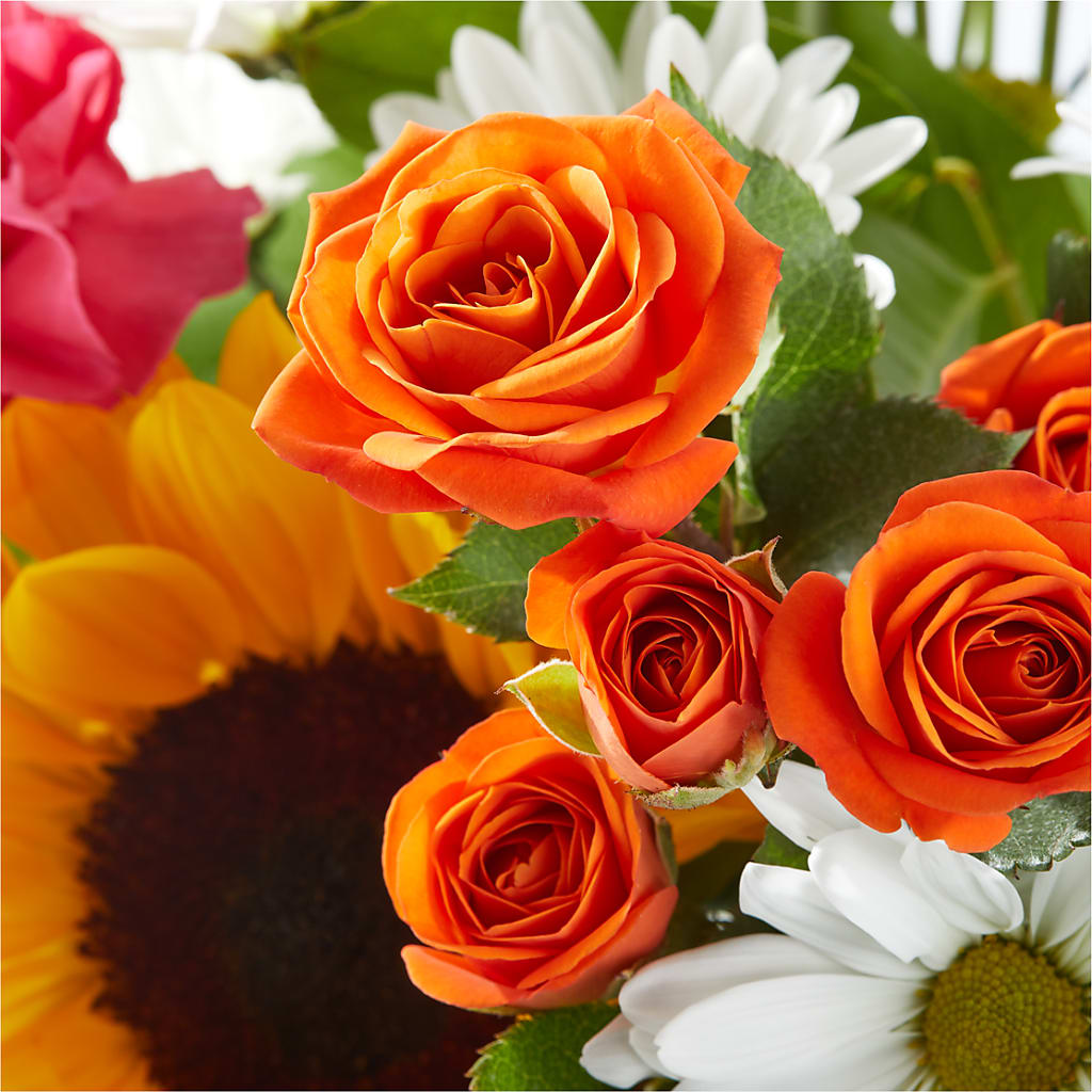 Sun-drenched Blooms Bouquet –  Mountain Florist, Clintwood VA
